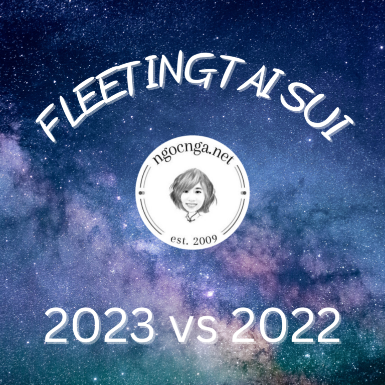 My Fleeting Stars 2023 vs 2022
